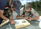 Sea Lamprey Larval Assessment After Lampricide Treatment