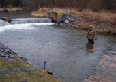 Sea Lamprey Pheromone Field Trials