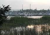 Boats in Harbor